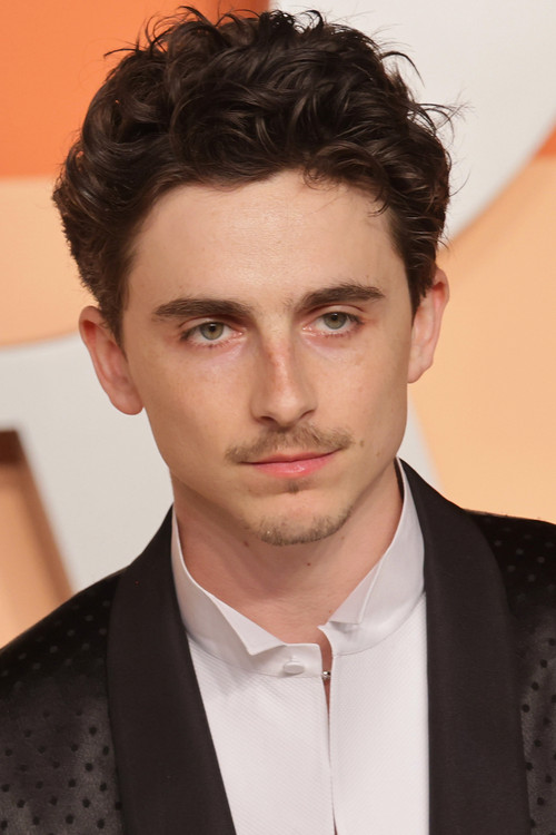 Podobny aktor do Anna Radwan: Timothée Chalamet